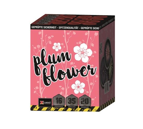 Plum Flower, 16-Schuss Batterie