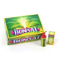 Bonsai Mini Fontäne KAT F 1