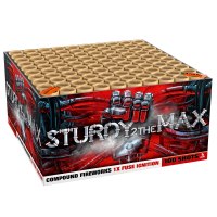 Sturdy 2 The Max, 100-Schuss Verbund NEU