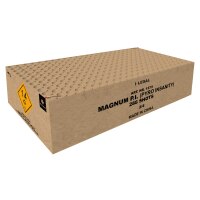 Magnum P.I. (Pyro Insanity), 288-Schuss  MEGA Verbund  1375
