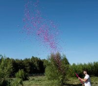 Pimmel Himmel Konfetti Shooter 80 cm Pink