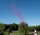 Pimmel Himmel Konfetti Shooter 80 cm Pink