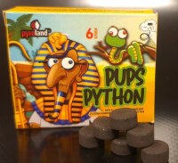Pups Python 6er FS, F 1  NEU
